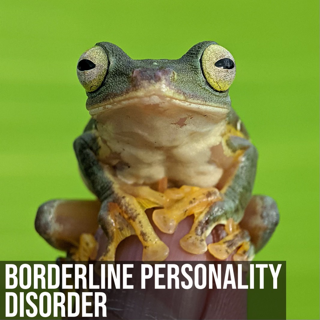 Borderline Personality Disorder